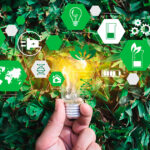 Заказать сертификат ISO 14001
